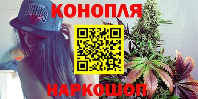 гидра Дубна